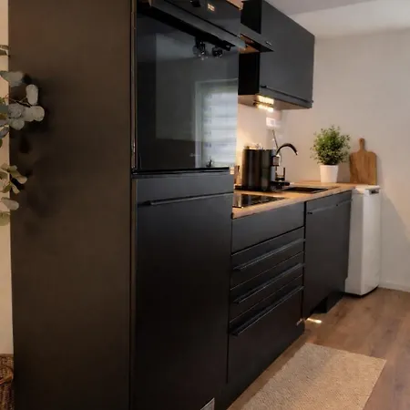 Mirana L Modernes Apartment Kaiserslautern